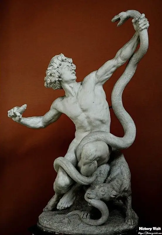 Man Fighting a Snake