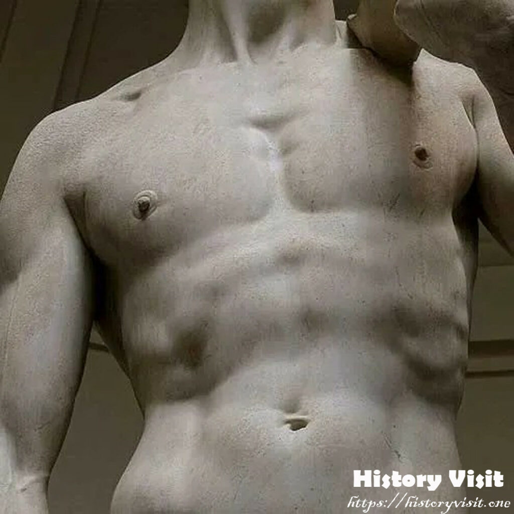 
Details of Michelangelo's David