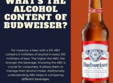 What's the Alcohol Content of Budweiser